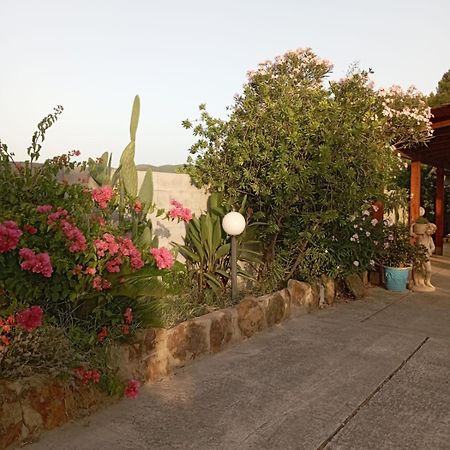 Villa Oleandro à Iglesias Extérieur photo
