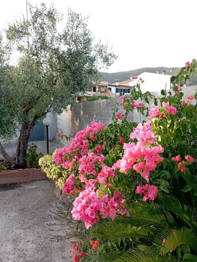 Villa Oleandro à Iglesias Extérieur photo