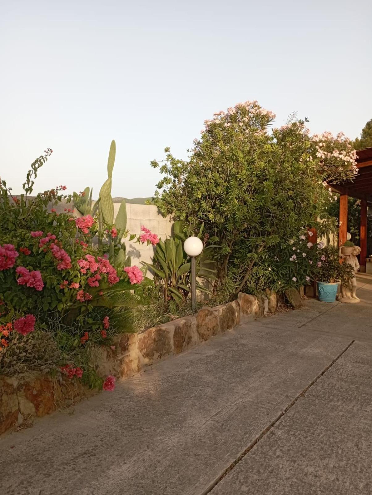 Villa Oleandro à Iglesias Extérieur photo