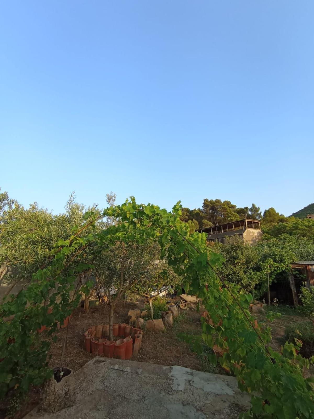 Villa Oleandro à Iglesias Extérieur photo